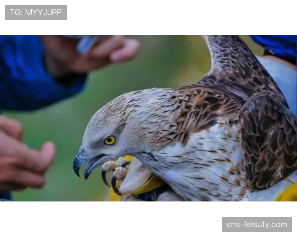 镜头捕捉：兰斯球员在热身中加练特定套边的传中战术
